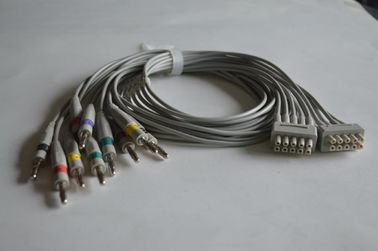 China GE 10-lead EKG leadwires,2.5m supplier
