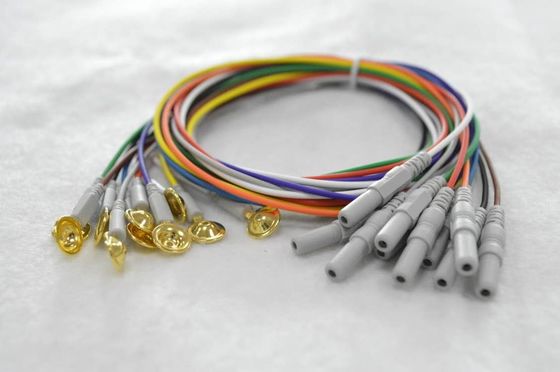 EEG supplier