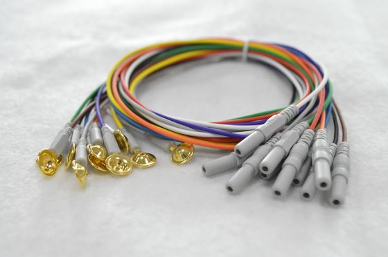 EEG supplier