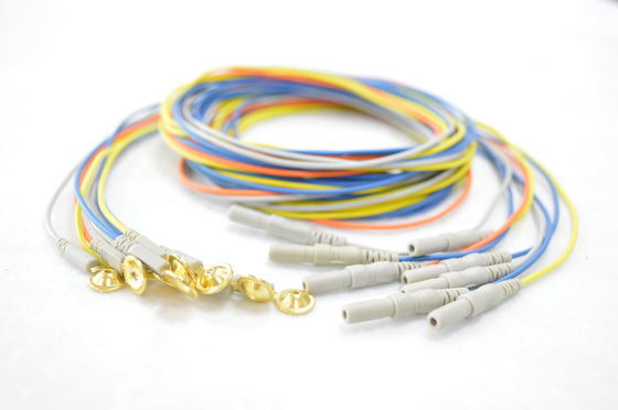 EEG supplier